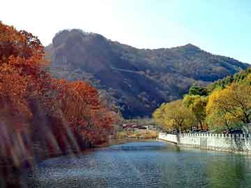 新澳门二四六天天彩，檀香山小说